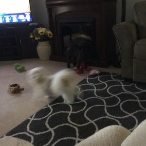 Meet your Posher, Liz